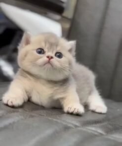 Jim