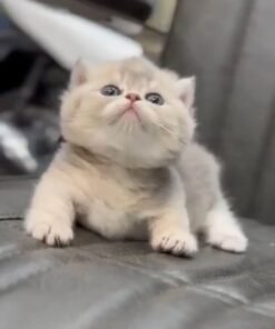 Jim